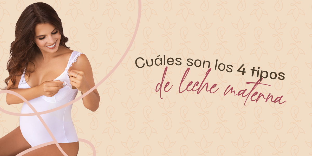 Cuáles son los 4 tipos de leche materna 